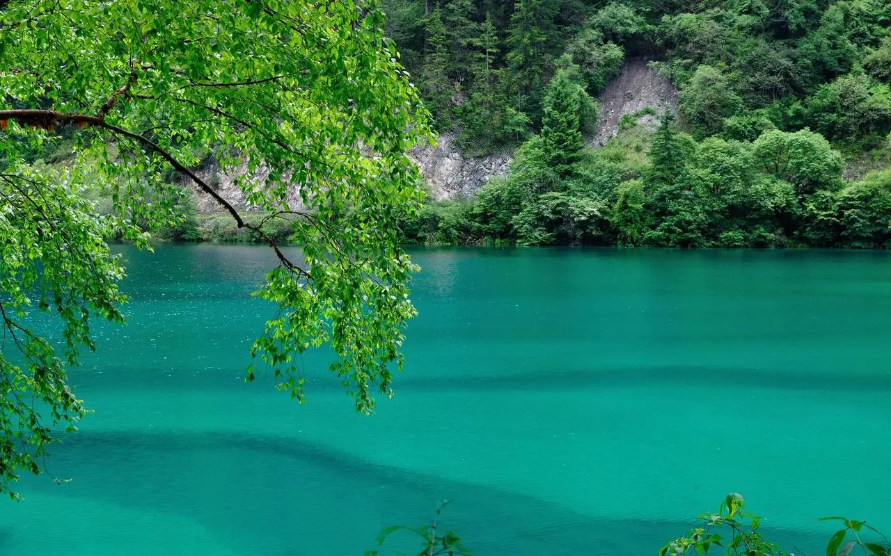智能系统智慧电子